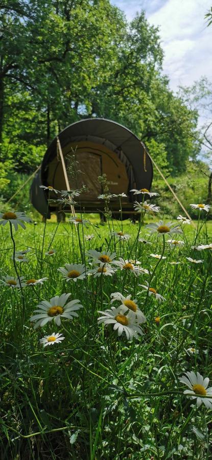 Camping De La Chagnee Saint-Aubin-le-Cloud Εξωτερικό φωτογραφία